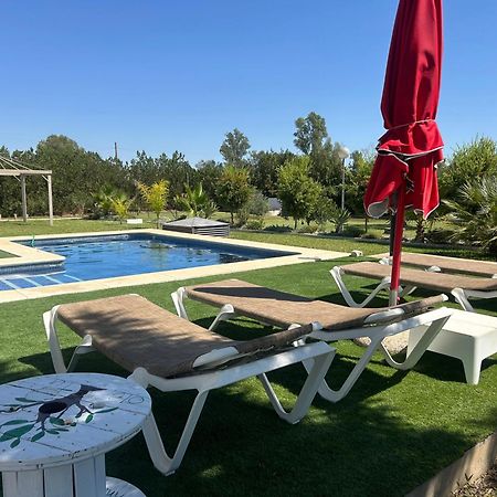 Ole Tu Andalucia Villa Sanlúcar la Mayor Dış mekan fotoğraf