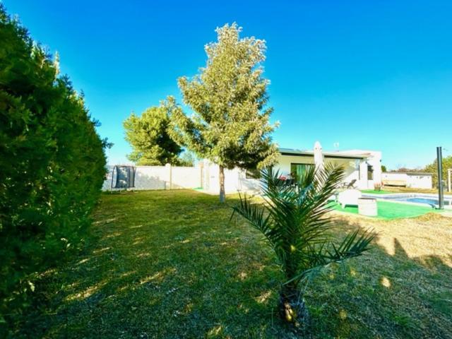 Ole Tu Andalucia Villa Sanlúcar la Mayor Dış mekan fotoğraf